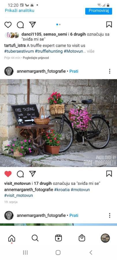 Bed & Breakfast Antico Motovun Dış mekan fotoğraf