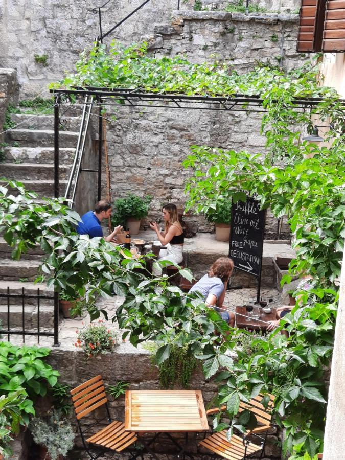 Bed & Breakfast Antico Motovun Dış mekan fotoğraf