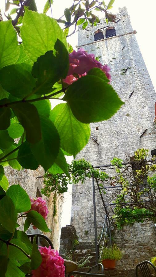 Bed & Breakfast Antico Motovun Dış mekan fotoğraf
